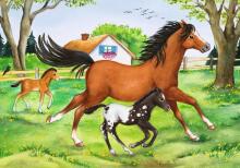 Ravensburger Puzzle 2x24 tk Maailm Hobustest