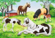 Ravensburger Puzzle 2x24 tk Maailm Hobustest