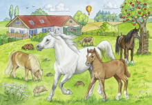 Ravensburger pusle 2x24 tk Hobused
