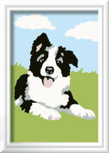 Ravensburger Paint by Numbers Border Collie