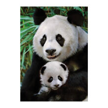Dino pusle 1000 tk Panda koos beebiga