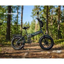 Saliekamais elektriskais velosipēds Skyjet GTIII PRO PLUS Green
