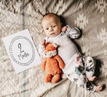 La bebe™ 12 Baby Monthly Cards Art. 44306, 12 карточек для фотосессий младенца – по месяцам, лучший подарок для новорожденного