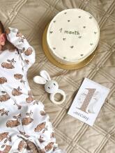 La bebe™ 12 Baby Monthly Cards Art. 44306, 12 карточек для фотосессий младенца – по месяцам, лучший подарок для новорожденного