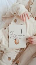 La bebe™ 12 Baby Monthly Cards Art. 44306, 12 карточек для фотосессий младенца – по месяцам, лучший подарок для новорожденного