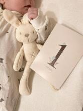 La bebe™ 12 Baby Monthly Cards Art. 44306, 12 карточек для фотосессий младенца – по месяцам, лучший подарок для новорожденного