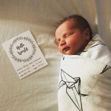 La bebe™ 12 Baby Monthly Cards Art. 44306, 12 карточек для фотосессий младенца – по месяцам, лучший подарок для новорожденного