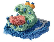 Play Foam Art.78060