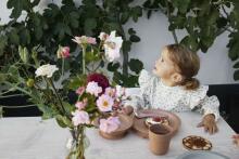 Elodie Details põll Autumn Rose
