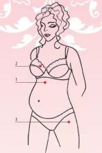 Bogema Lingerie Art.92330 Diana