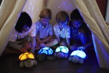 Cloud B Art. 7323-BL Twilight Turtle™ - Blue