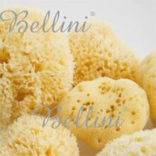 Bellini  Natural Sea Sponge Honeycomb №10
